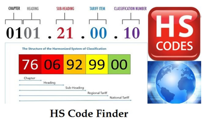 Kiến thức nhập khẩu