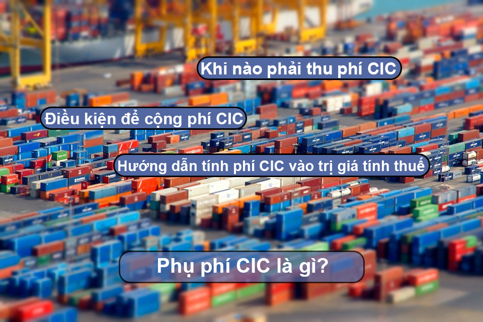 Phí CIC là gì? Tại sao bạn phải nộp phí CIC?