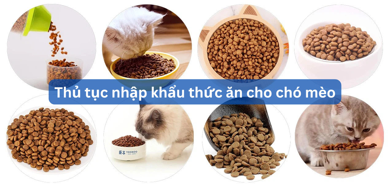 Thủ tục nhập khẩu thức ăn cho chó mèo: Thủ tục, hồ sơ và chi phí