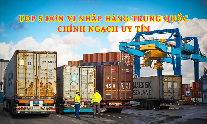 Top 5 Đơn Vị Nhập Hàng Trung Quốc Chính Ngạch Uy Tín & Giá Rẻ 2026