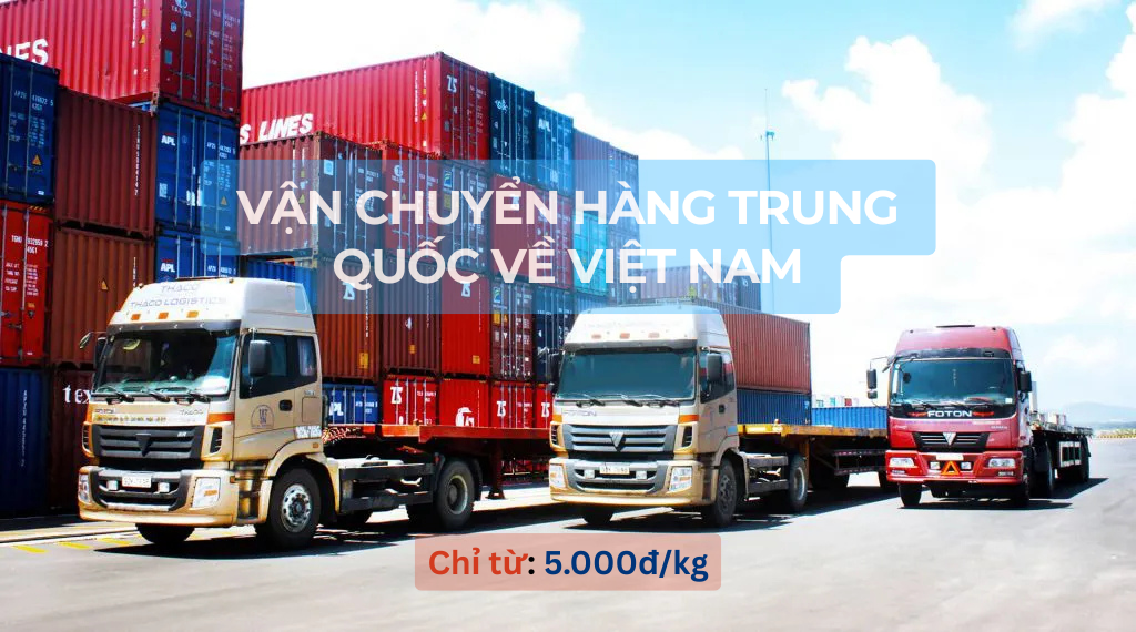 Dịch vụ của chúng tôi